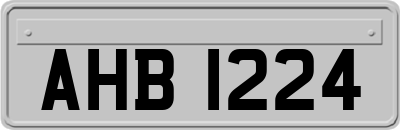 AHB1224