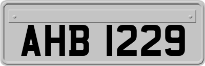 AHB1229