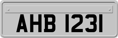 AHB1231