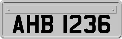 AHB1236