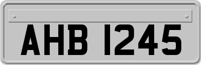 AHB1245