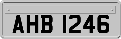 AHB1246