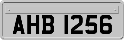 AHB1256