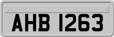 AHB1263