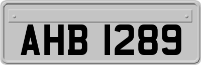 AHB1289