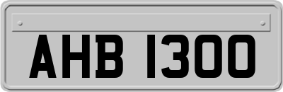 AHB1300