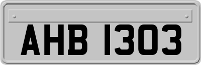 AHB1303