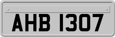 AHB1307