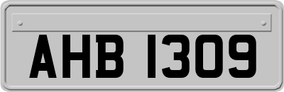 AHB1309