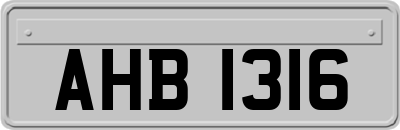 AHB1316