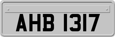 AHB1317