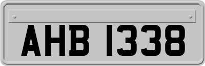 AHB1338