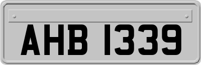 AHB1339