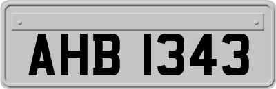 AHB1343