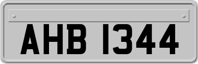 AHB1344