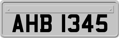 AHB1345
