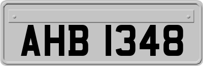 AHB1348