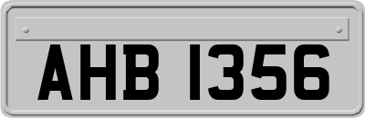 AHB1356