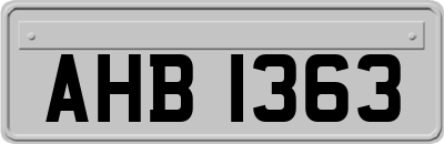 AHB1363