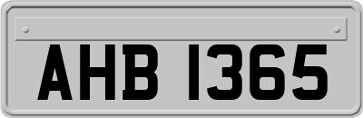 AHB1365