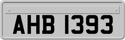 AHB1393
