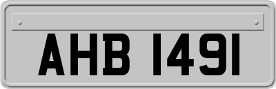 AHB1491