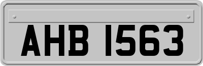 AHB1563