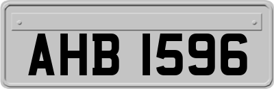 AHB1596