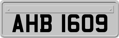 AHB1609