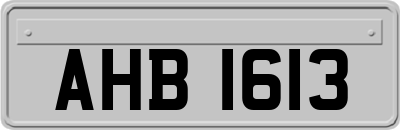 AHB1613