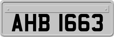 AHB1663