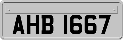 AHB1667