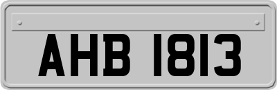 AHB1813