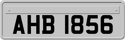 AHB1856