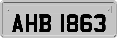 AHB1863