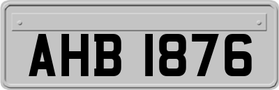 AHB1876