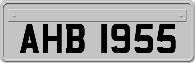 AHB1955