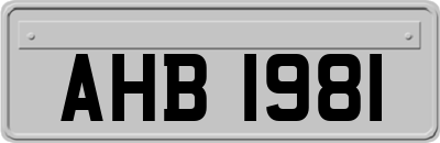AHB1981