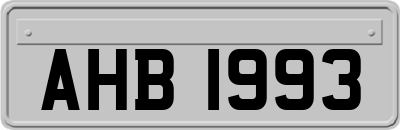 AHB1993