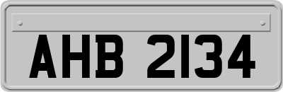 AHB2134