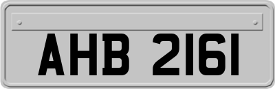 AHB2161