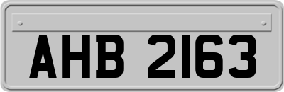 AHB2163