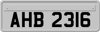AHB2316