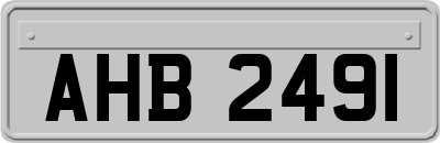 AHB2491