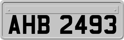 AHB2493