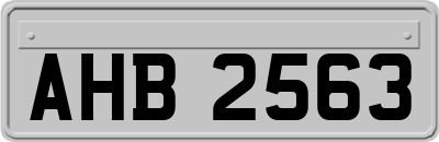 AHB2563
