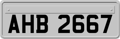 AHB2667