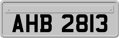 AHB2813