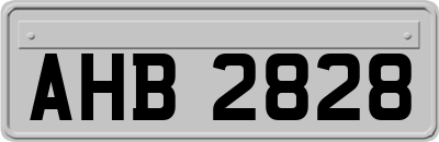 AHB2828