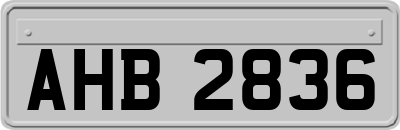 AHB2836